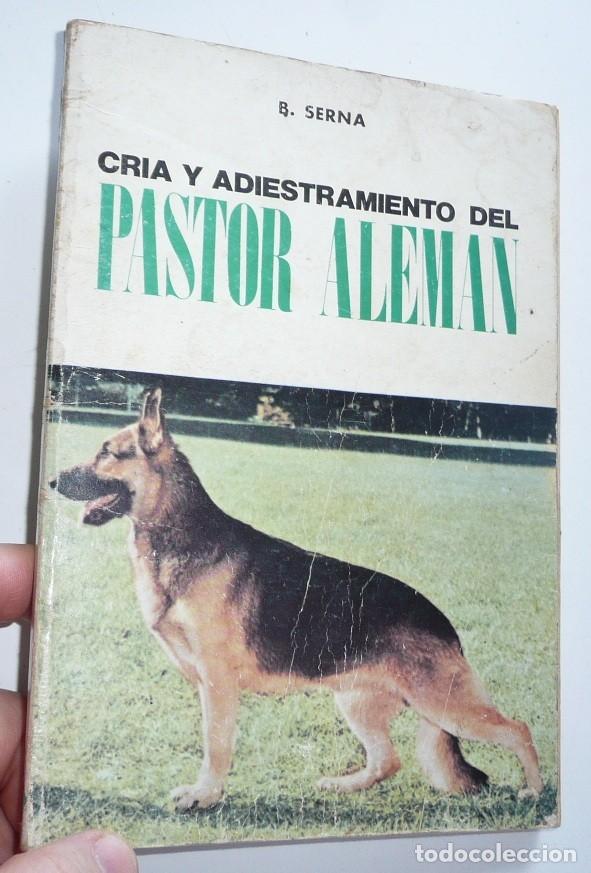 Libros de segunda mano: Cr&iacute;a y adiestramiento del Pastor Alem&aacute;n - B. Serna (Ediciones Doble, 1978) - Foto 1