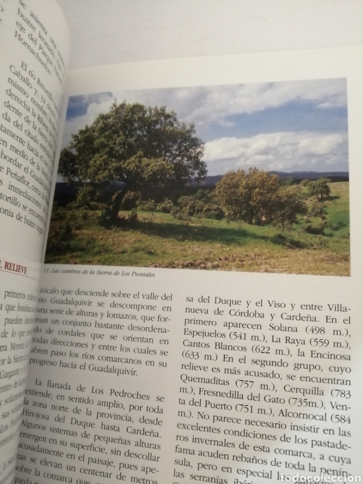 Libros de segunda mano: La Sierra de C&oacute;rdoba DE Jes&uacute;s Tornero G&oacute;mez - Foto 6