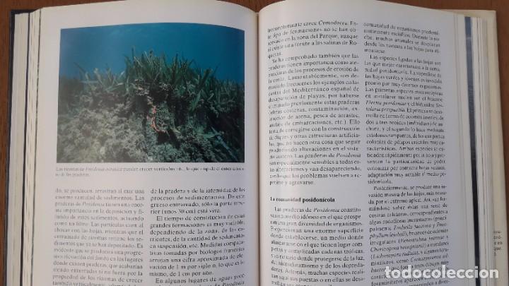 Libros de segunda mano: FAUNA Y FLORA MARINAS DEL PARQUE NATURAL DE CABO DE GATA-NIJAR. Impecable - Foto 3