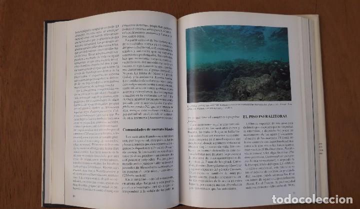 Libros de segunda mano: FAUNA Y FLORA MARINAS DEL PARQUE NATURAL DE CABO DE GATA-NIJAR. Impecable - Foto 4