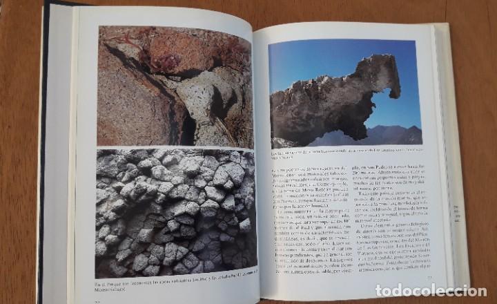 Libros de segunda mano: FAUNA Y FLORA MARINAS DEL PARQUE NATURAL DE CABO DE GATA-NIJAR. Impecable - Foto 7