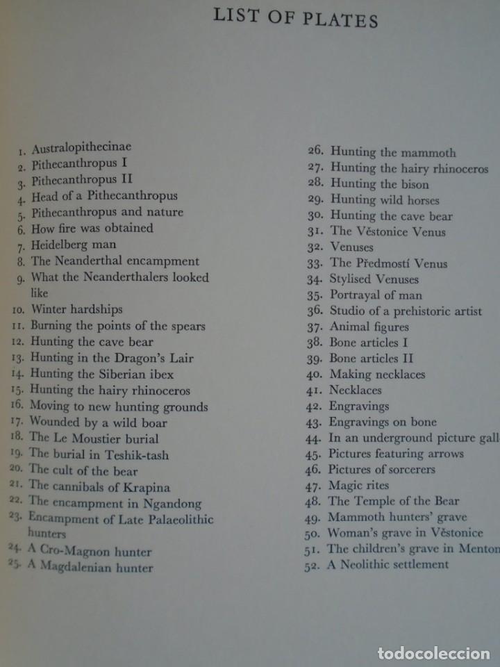 Libros de segunda mano: Los hombres prehist&oacute;ricos. Joseph Augusta. Gran formato. - Foto 2