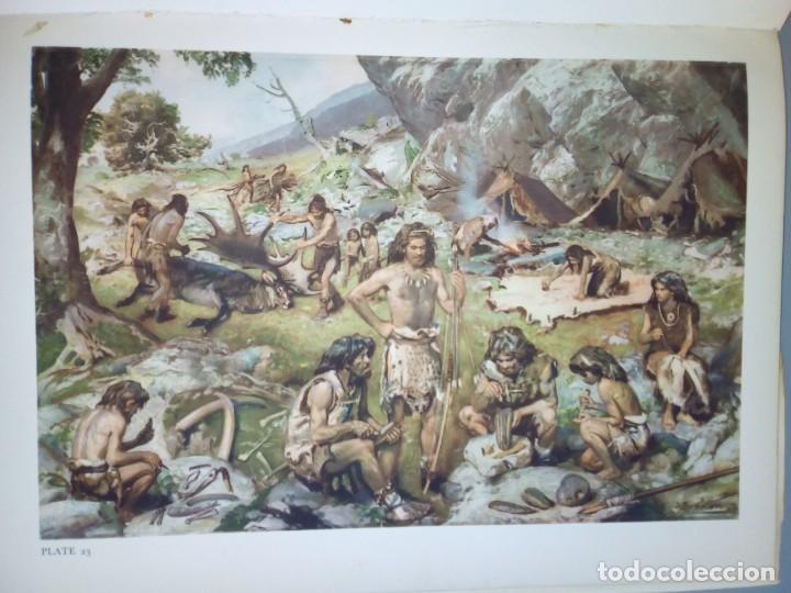Libros de segunda mano: Los hombres prehist&oacute;ricos. Joseph Augusta. Gran formato. - Foto 5