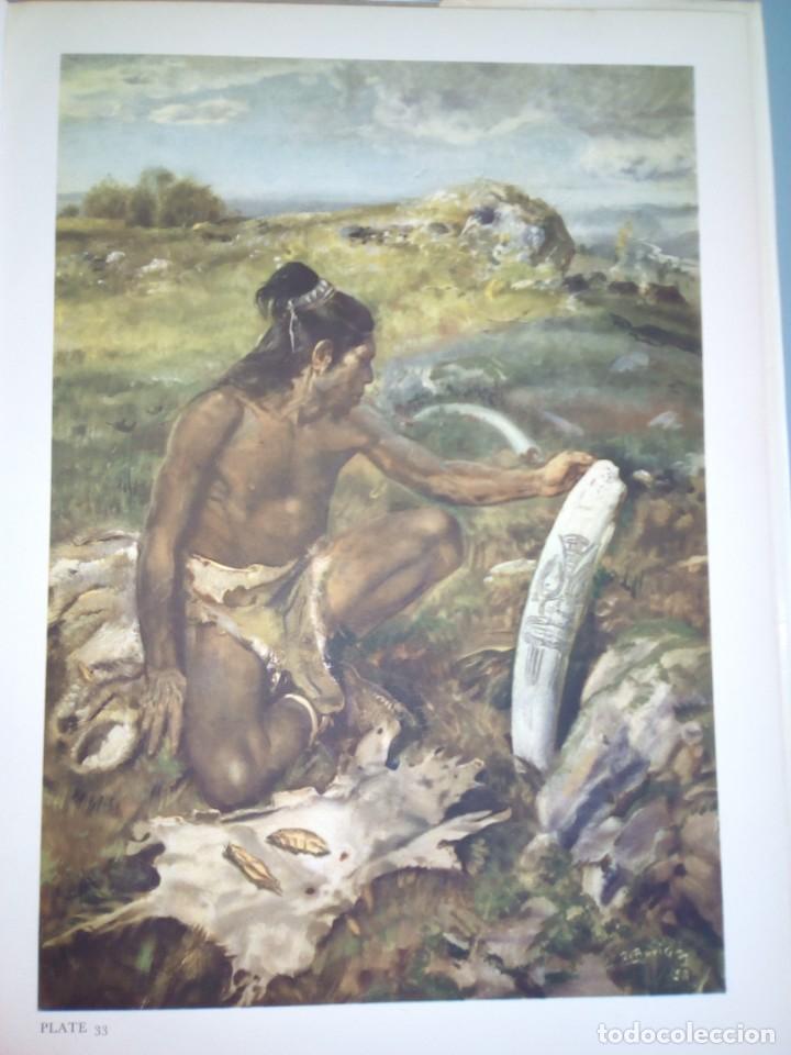 Libros de segunda mano: Los hombres prehist&oacute;ricos. Joseph Augusta. Gran formato. - Foto 6