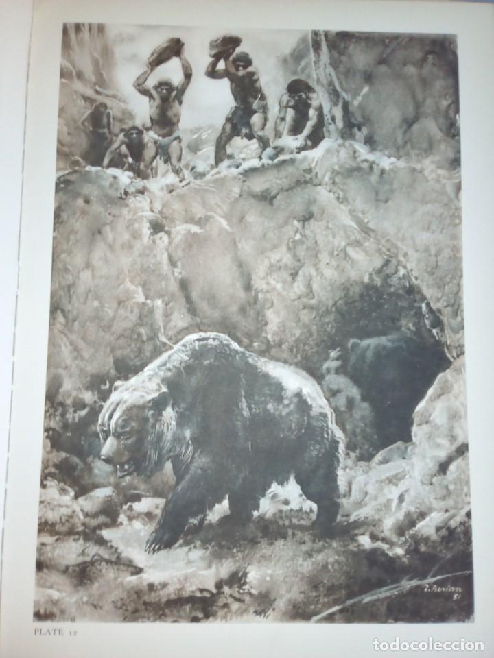 Libros de segunda mano: Los hombres prehist&oacute;ricos. Joseph Augusta. Gran formato. - Foto 14