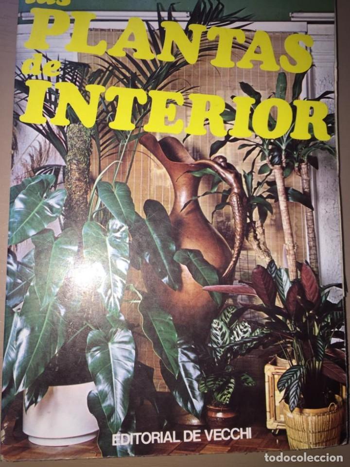 Libros de segunda mano: Las plantas de interior - Annette y Patrick Mioulane - Foto 1
