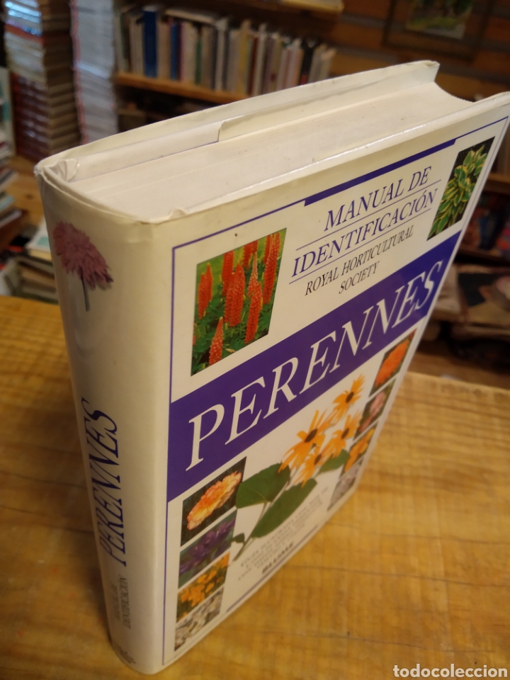 Libros de segunda mano: MANUAL DE IDENTIFICACI&Oacute;N PERENNES. ED. BLUME #5159 - Foto 2