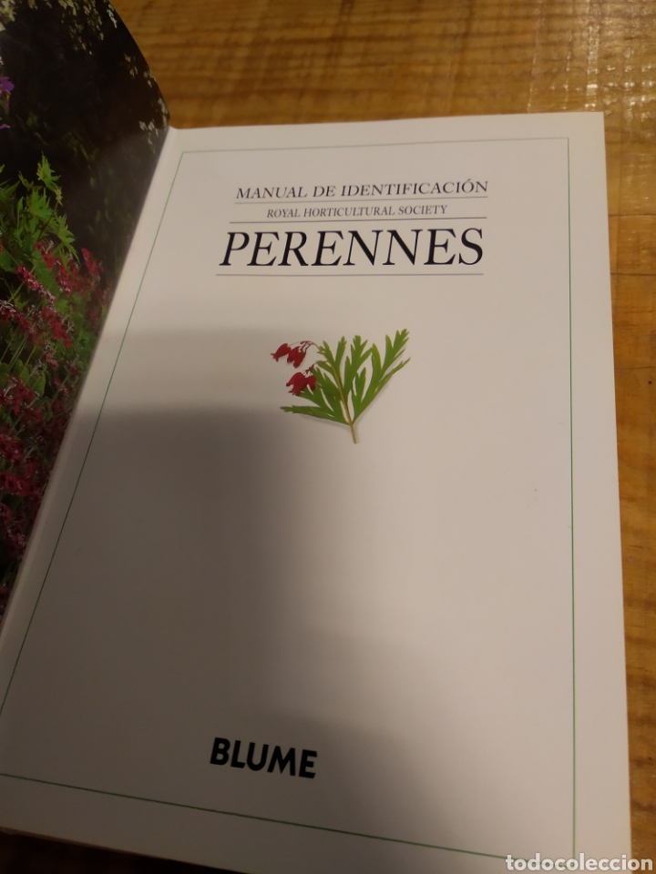 Libros de segunda mano: MANUAL DE IDENTIFICACI&Oacute;N PERENNES. ED. BLUME #5159 - Foto 3