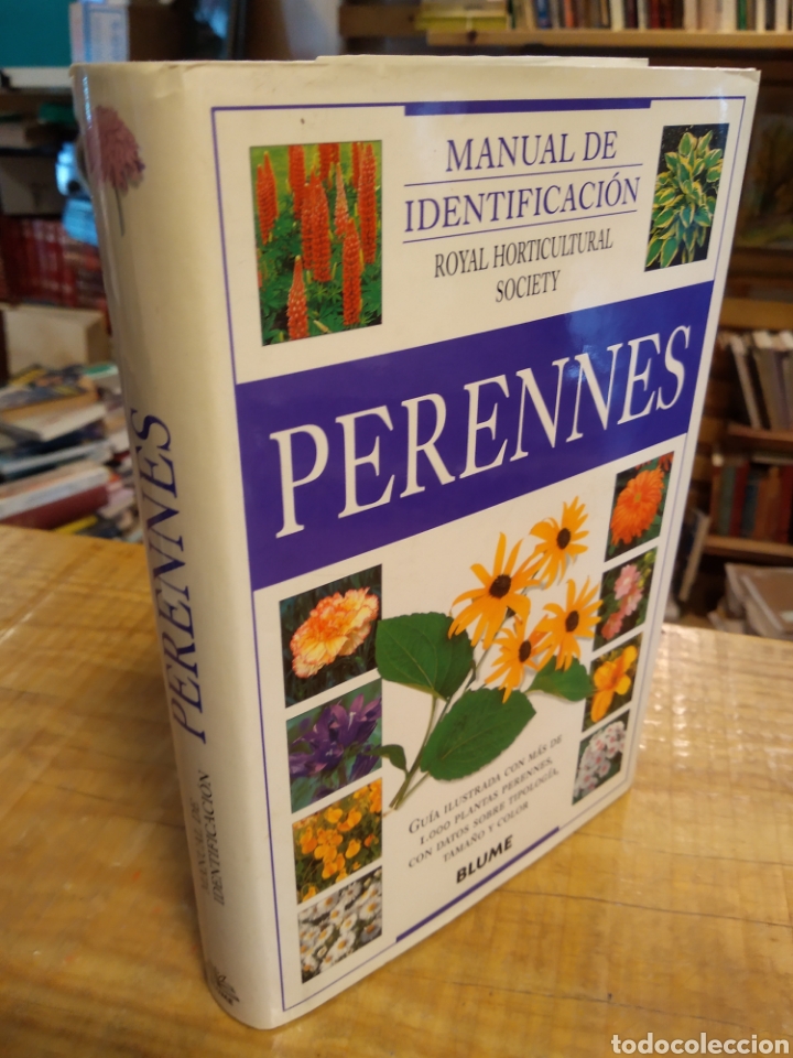 Libros de segunda mano: MANUAL DE IDENTIFICACI&Oacute;N PERENNES. ED. BLUME #5159 - Foto 1