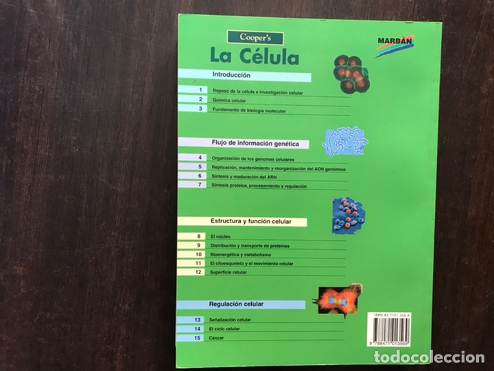 Libros de segunda mano: La c&eacute;lula. Geoffrey M. Cooper. Mab&aacute;n. 2&ordf; edici&oacute;n . Como nuevo - Foto 2