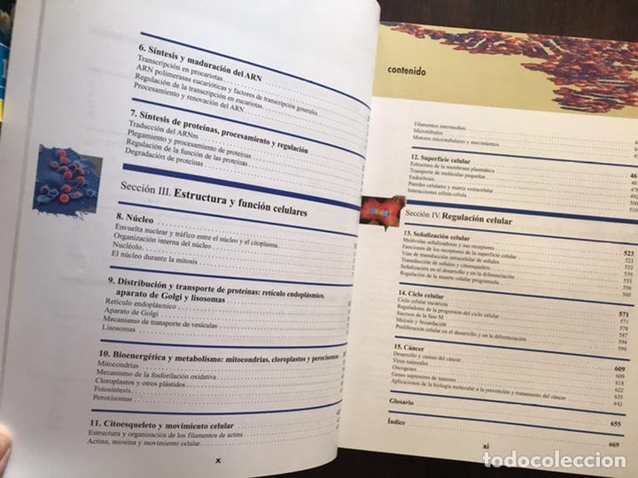 Libros de segunda mano: La c&eacute;lula. Geoffrey M. Cooper. Mab&aacute;n. 2&ordf; edici&oacute;n . Como nuevo - Foto 5