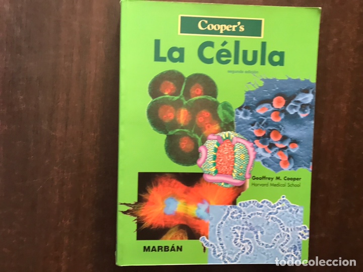Libros de segunda mano: La c&eacute;lula. Geoffrey M. Cooper. Mab&aacute;n. 2&ordf; edici&oacute;n . Como nuevo - Foto 1