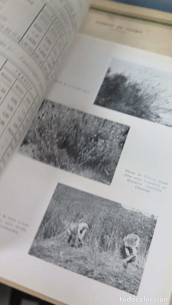 Libros de segunda mano: ACEITES ESENCIALES ESPA&Ntilde;OLES. TORNER OCHOA - Foto 2