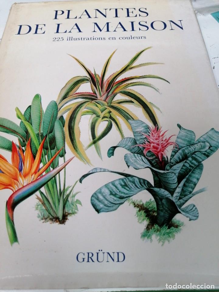 Libros de segunda mano: Plantes de la Madison. 225 illustrations en couleurs - Foto 1