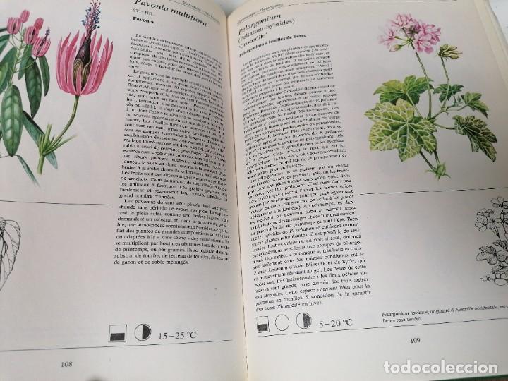 Libros de segunda mano: Plantes de la Madison. 225 illustrations en couleurs - Foto 2
