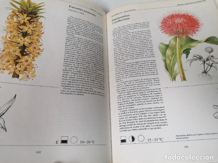 Libros de segunda mano: Plantes de la Madison. 225 illustrations en couleurs - Foto 3