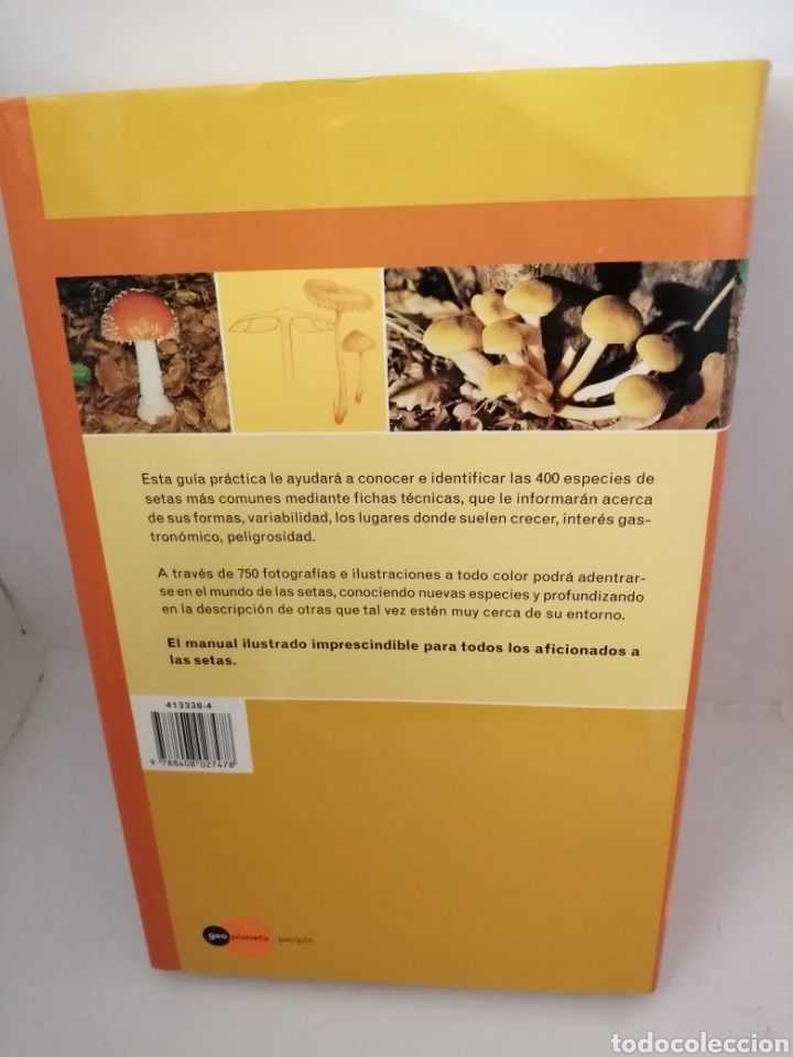 Libros de segunda mano: El gran libro de las setas (GeoPlaneta, Primera edici&oacute;n, como nuevo) - Foto 2