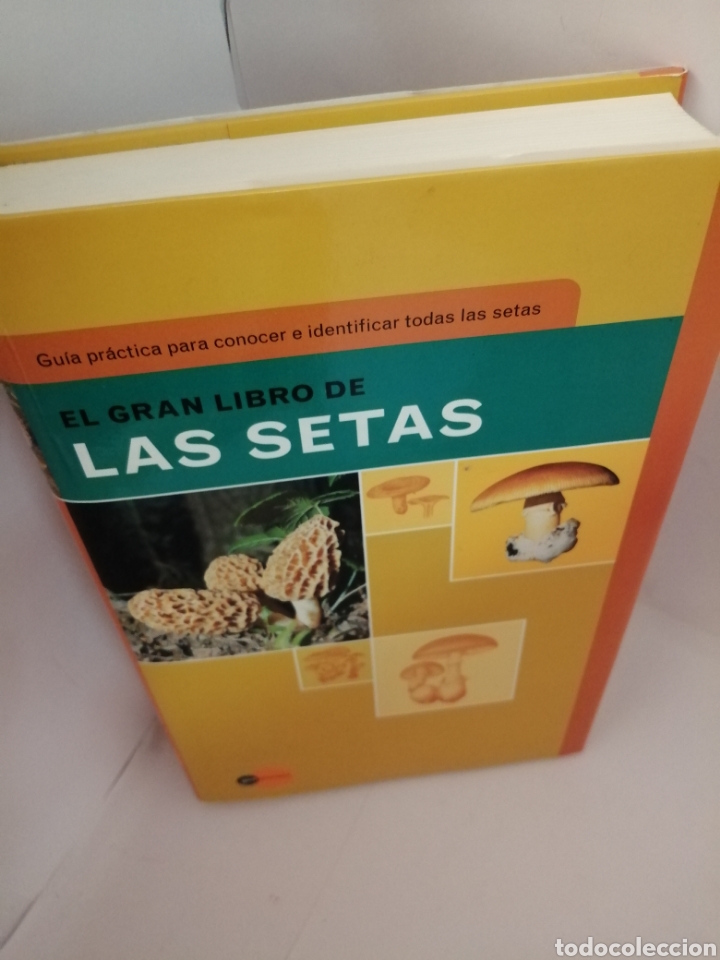 Libros de segunda mano: El gran libro de las setas (GeoPlaneta, Primera edici&oacute;n, como nuevo) - Foto 6
