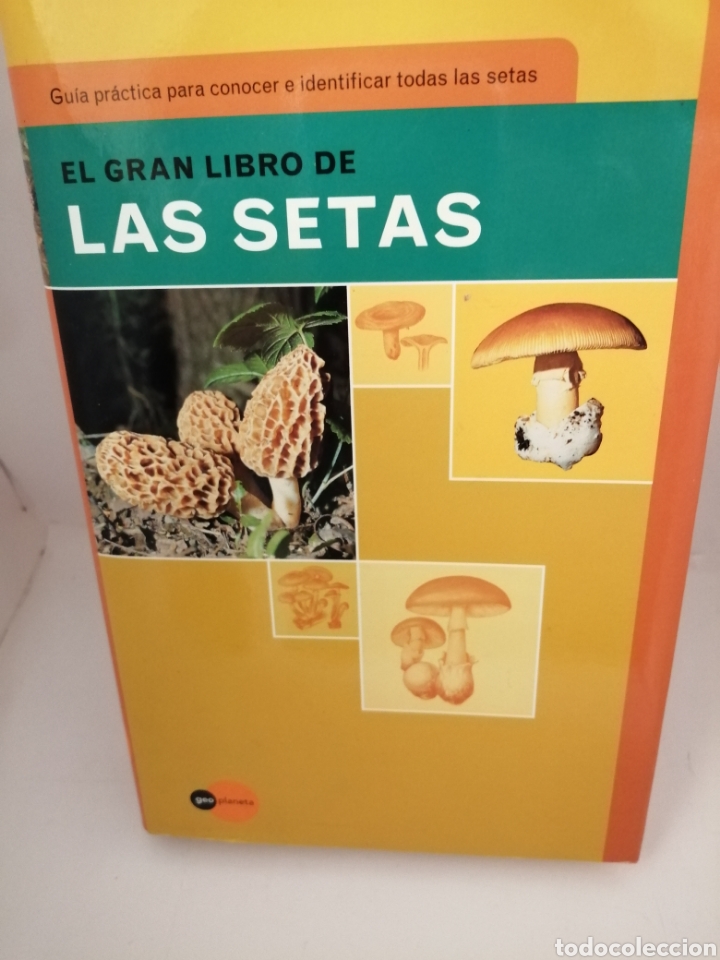 Libros de segunda mano: El gran libro de las setas (GeoPlaneta, Primera edici&oacute;n, como nuevo) - Foto 1