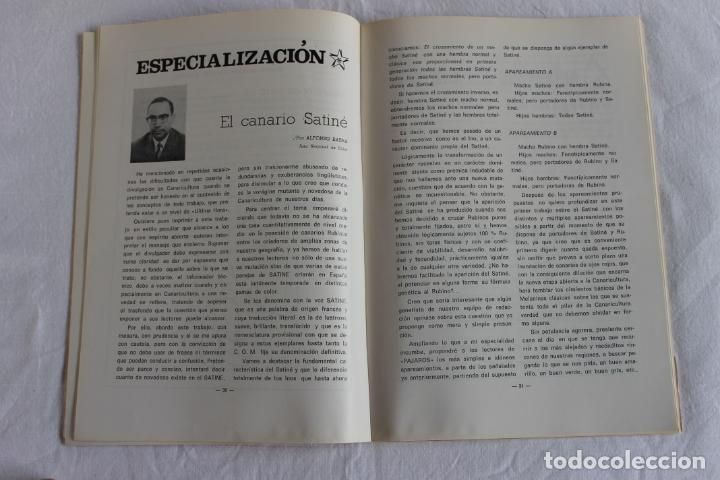 Libros de segunda mano: P&Aacute;JAROS. REVISTA TRIMESTRAL - Foto 3
