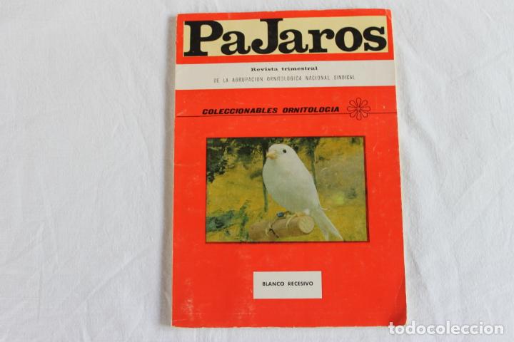 Libros de segunda mano: P&Aacute;JAROS. REVISTA TRIMESTRAL - Foto 1