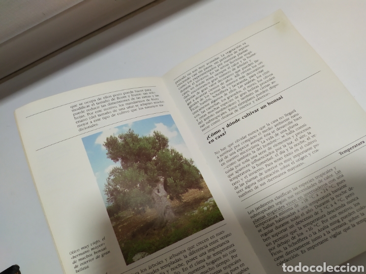 Libros de segunda mano: Bonsai de interior de Paul Lesniewicz - Foto 6