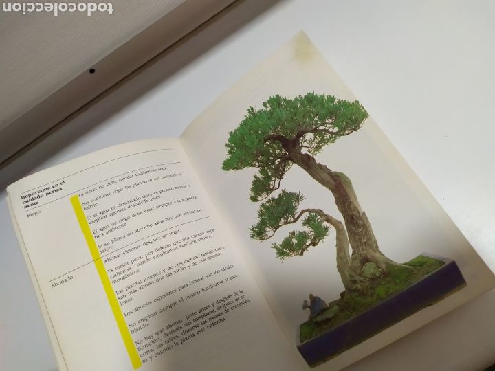 Libros de segunda mano: Bonsai de interior de Paul Lesniewicz - Foto 8