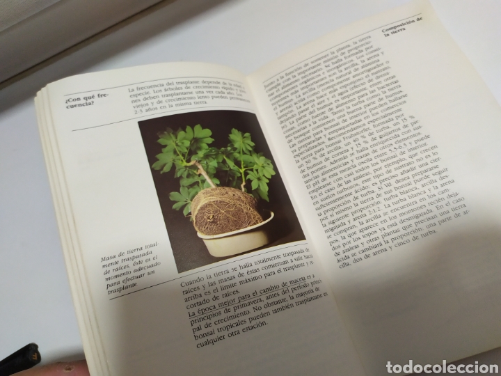 Libros de segunda mano: Bonsai de interior de Paul Lesniewicz - Foto 9
