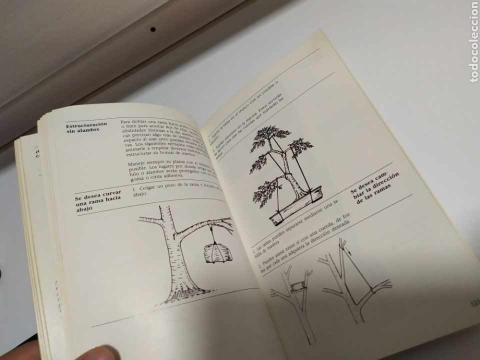 Libros de segunda mano: Bonsai de interior de Paul Lesniewicz - Foto 11