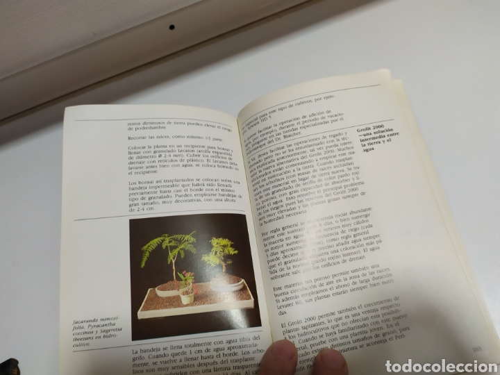 Libros de segunda mano: Bonsai de interior de Paul Lesniewicz - Foto 13