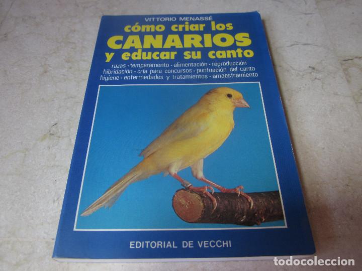 Libros de segunda mano: VITTORIO MENASSE - COMO CRIAR LOS CANARIOS Y EDUCAR SU CANTO - EDITORIAL DE VECCHI 1994 - Foto 1