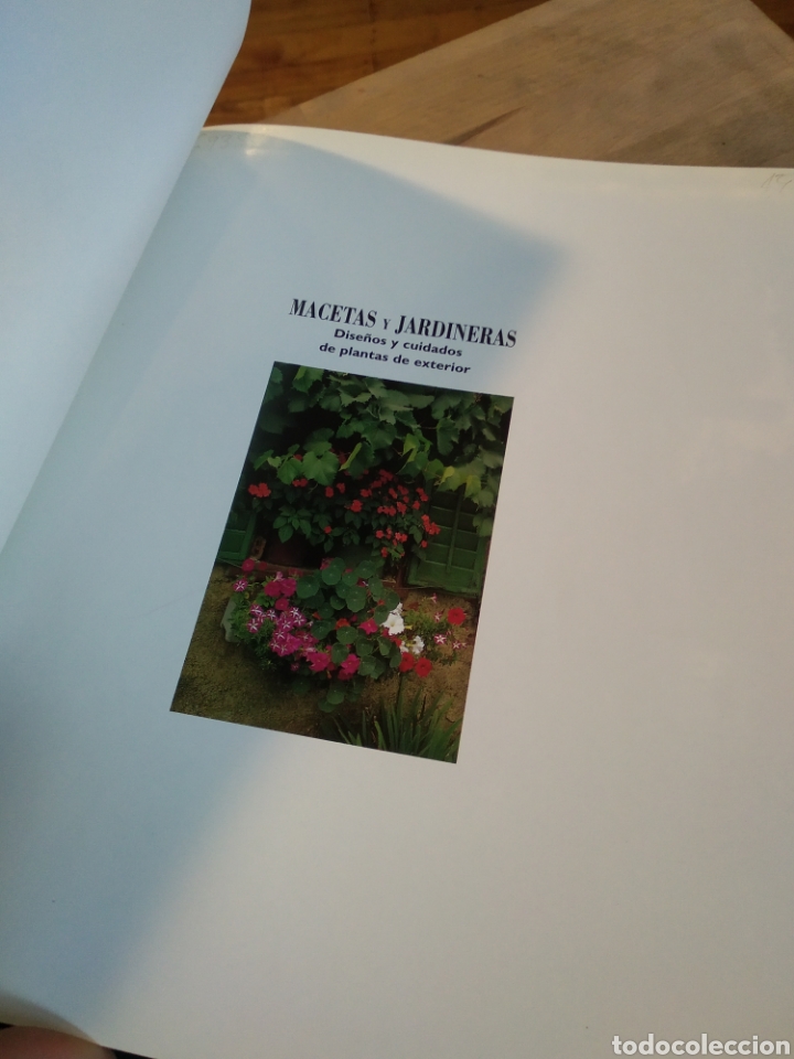 Libros de segunda mano: MACETAS Y JARDINERAS. DAVID JOYCE #5071 - Foto 3