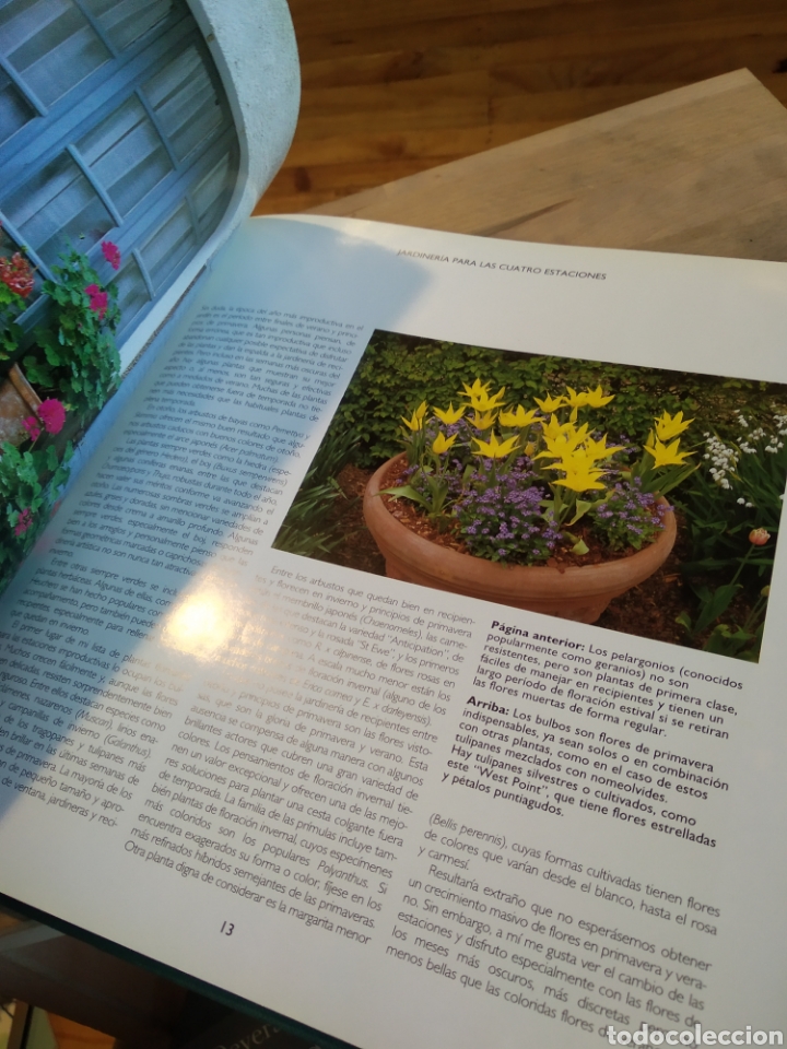 Libros de segunda mano: MACETAS Y JARDINERAS. DAVID JOYCE #5071 - Foto 4