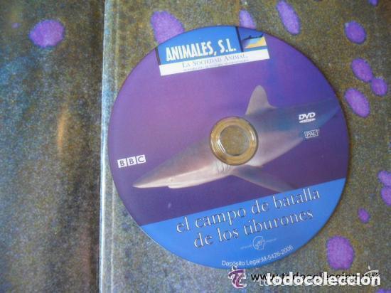 Libros de segunda mano: PELIGRO EN EL &Oacute;CEANO LIBRO Y DVD - Foto 3