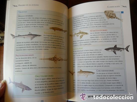 Libros de segunda mano: PELIGRO EN EL &Oacute;CEANO LIBRO Y DVD - Foto 4