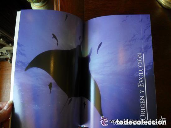 Libros de segunda mano: PELIGRO EN EL &Oacute;CEANO LIBRO Y DVD - Foto 5