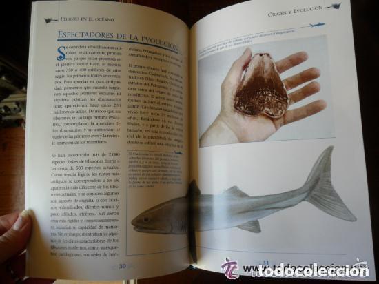 Libros de segunda mano: PELIGRO EN EL &Oacute;CEANO LIBRO Y DVD - Foto 6