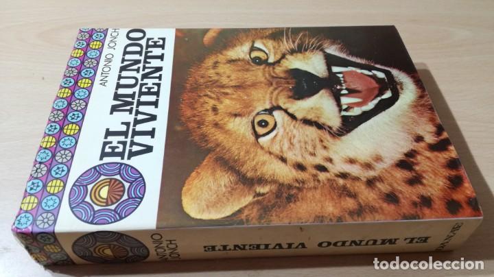 Libros de segunda mano: EL MUNDO VIVIENTE - ANTONIO JONCH - DANAE K602 - Foto 1
