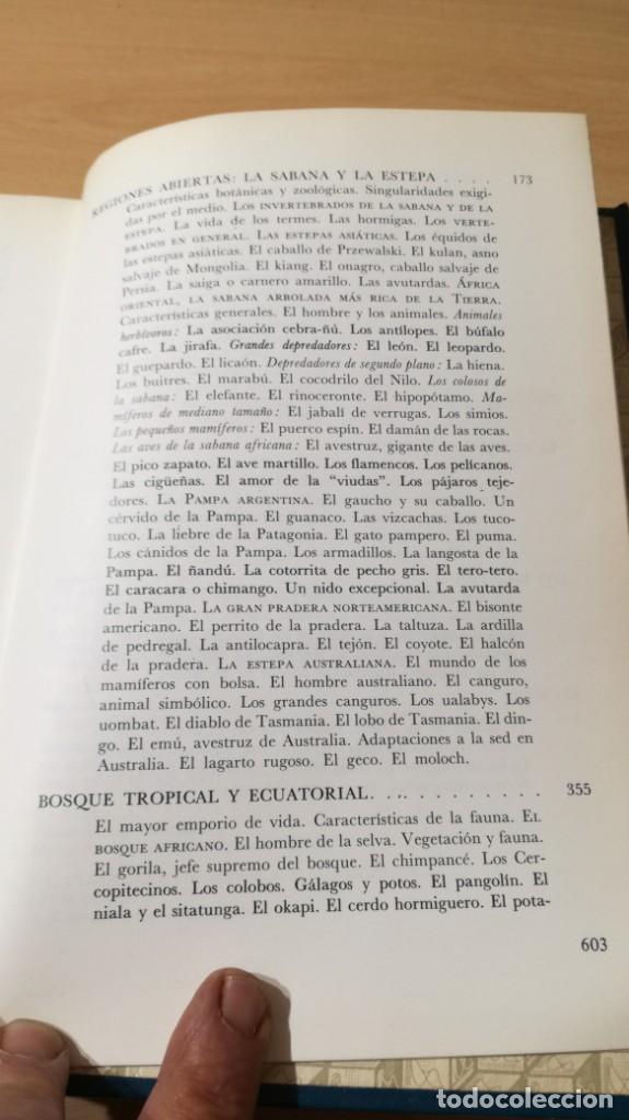 Libros de segunda mano: EL MUNDO VIVIENTE - ANTONIO JONCH - DANAE K602 - Foto 5