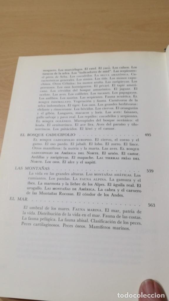 Libros de segunda mano: EL MUNDO VIVIENTE - ANTONIO JONCH - DANAE K602 - Foto 6