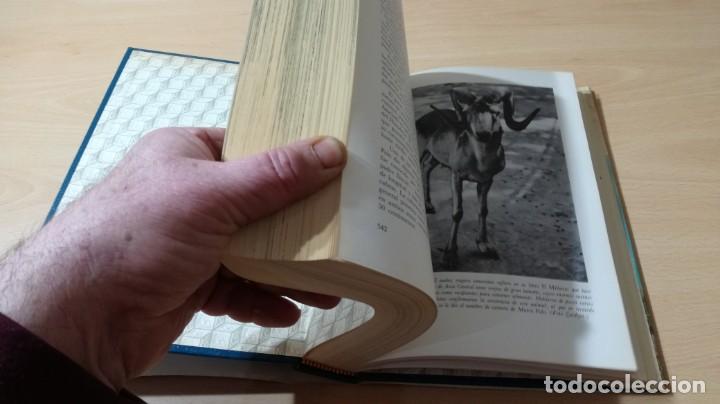 Libros de segunda mano: EL MUNDO VIVIENTE - ANTONIO JONCH - DANAE K602 - Foto 7