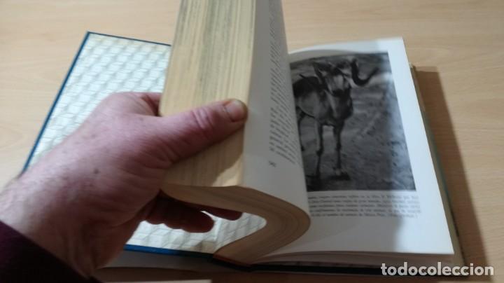 Libros de segunda mano: EL MUNDO VIVIENTE - ANTONIO JONCH - DANAE K602 - Foto 8