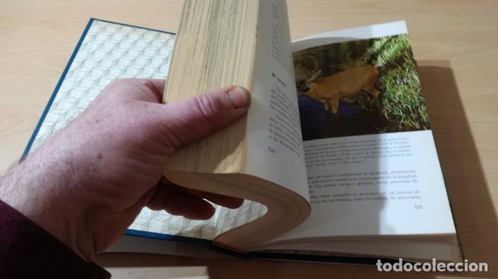Libros de segunda mano: EL MUNDO VIVIENTE - ANTONIO JONCH - DANAE K602 - Foto 9
