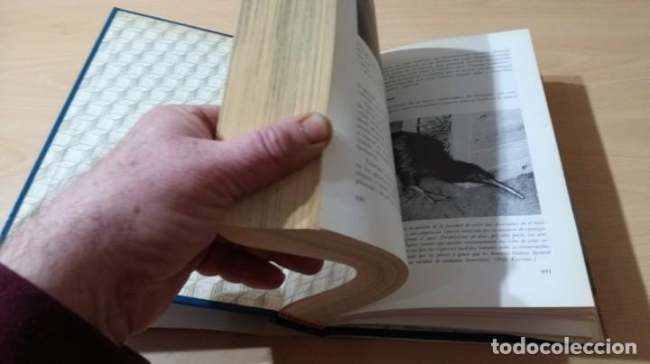 Libros de segunda mano: EL MUNDO VIVIENTE - ANTONIO JONCH - DANAE K602 - Foto 10