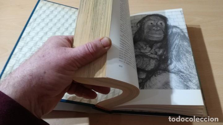 Libros de segunda mano: EL MUNDO VIVIENTE - ANTONIO JONCH - DANAE K602 - Foto 11