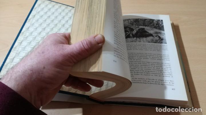 Libros de segunda mano: EL MUNDO VIVIENTE - ANTONIO JONCH - DANAE K602 - Foto 12