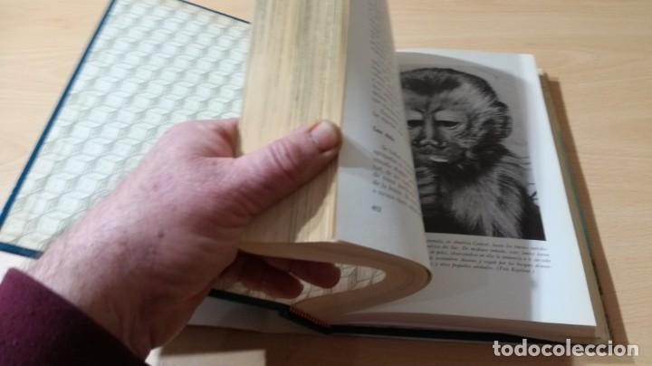 Libros de segunda mano: EL MUNDO VIVIENTE - ANTONIO JONCH - DANAE K602 - Foto 13