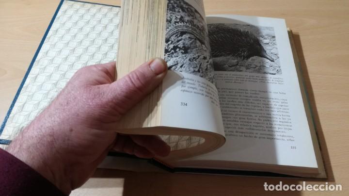 Libros de segunda mano: EL MUNDO VIVIENTE - ANTONIO JONCH - DANAE K602 - Foto 15