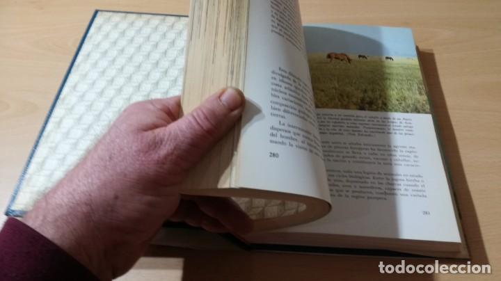 Libros de segunda mano: EL MUNDO VIVIENTE - ANTONIO JONCH - DANAE K602 - Foto 16