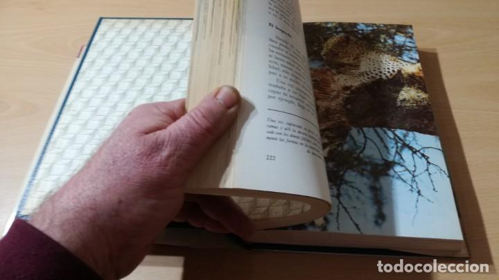 Libros de segunda mano: EL MUNDO VIVIENTE - ANTONIO JONCH - DANAE K602 - Foto 17